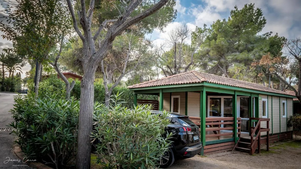캠프장 Camping Vilanova Park Vilanova i la Geltrú